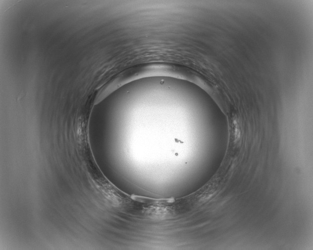 X0000061150276200511181242