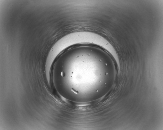 X0000061150277200511181242