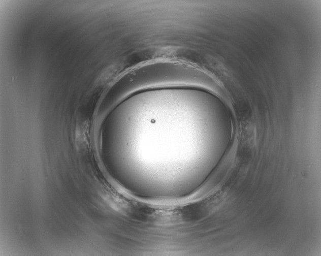 X0000061150280200511181242