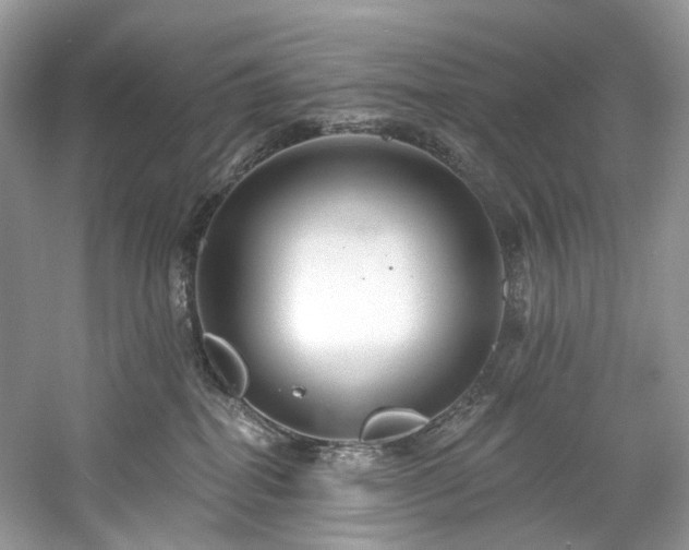 X0000061150282200511181242