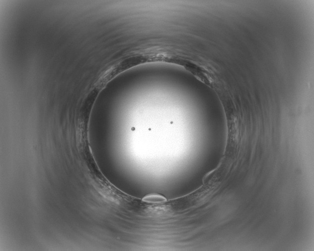 X0000061150283200511181242