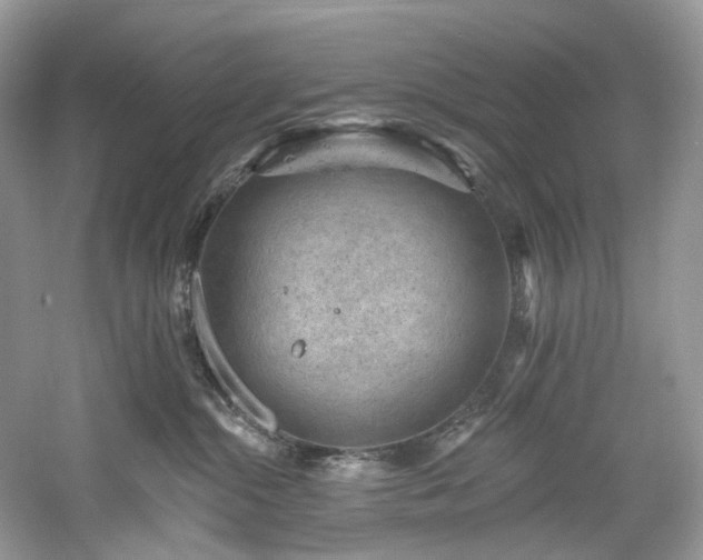 X0000061150284200511181242