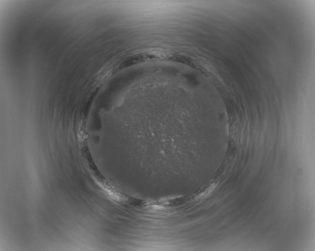 X0000061150285200511181242