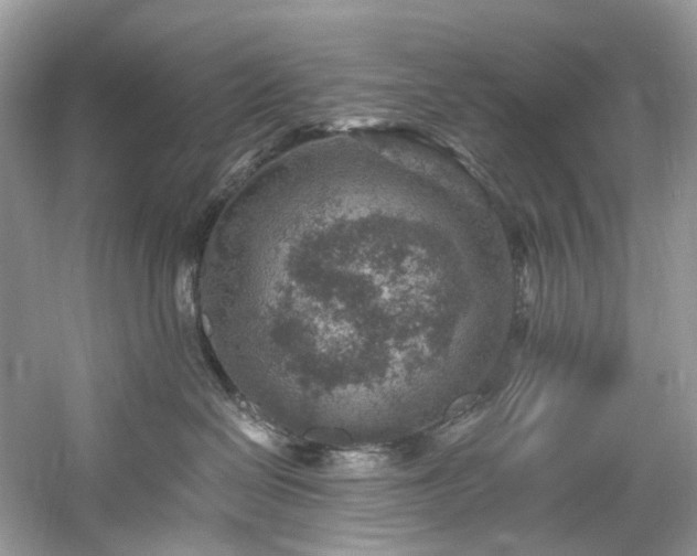 X0000061150286200511181242