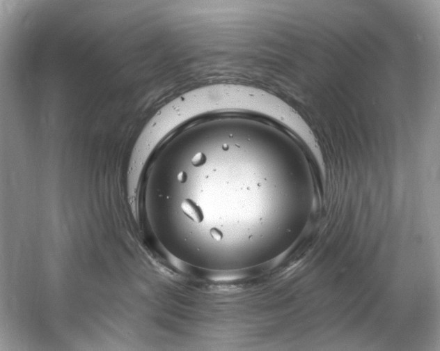 X0000061150287200511181242