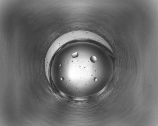 X0000061150288200511181242