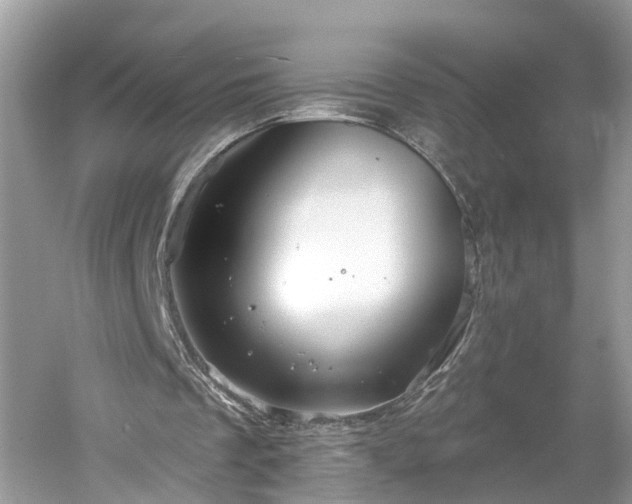 X0000061150289200511181241