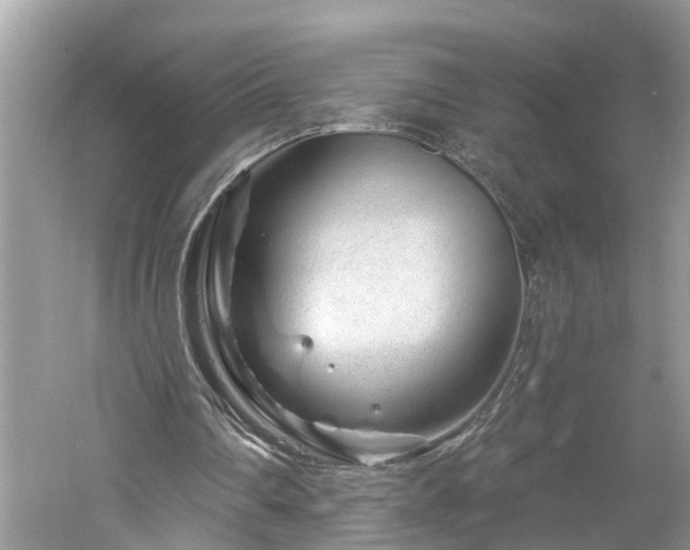 X0000061150290200511181241