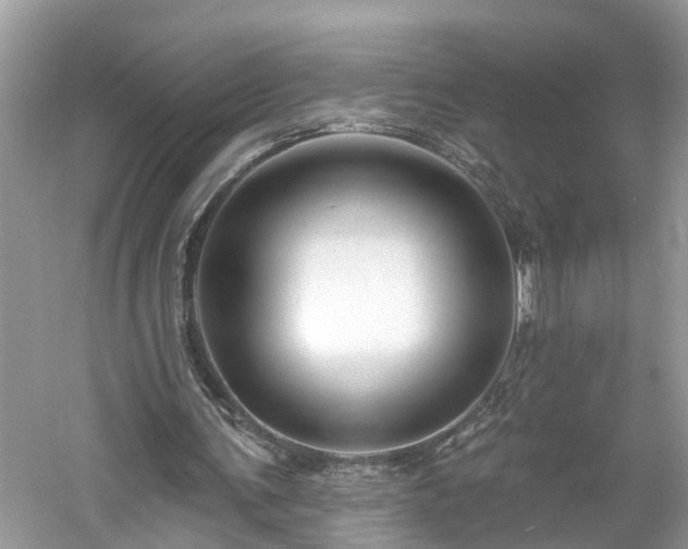 X0000061150291200511181241