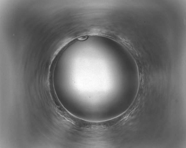 X0000061150292200511181241