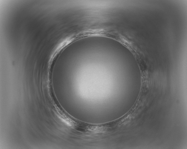 X0000061150293200511181241