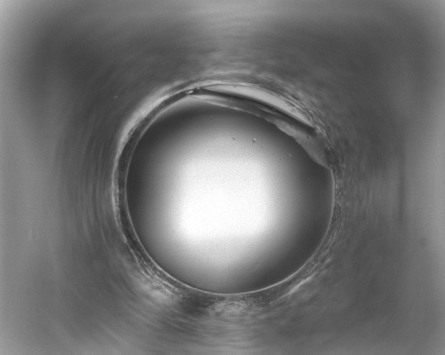 X0000061150294200511181241