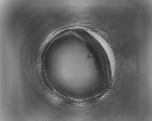 X0000061150295200511181241