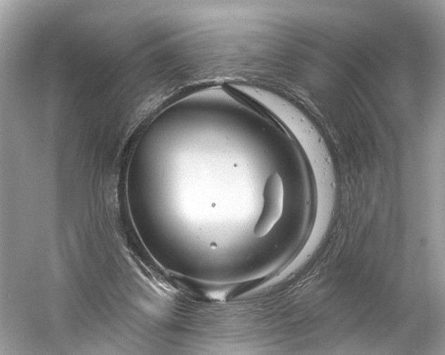 X0000061150299200511181241