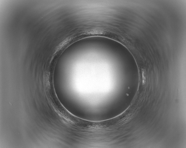 X0000061150300200511181241