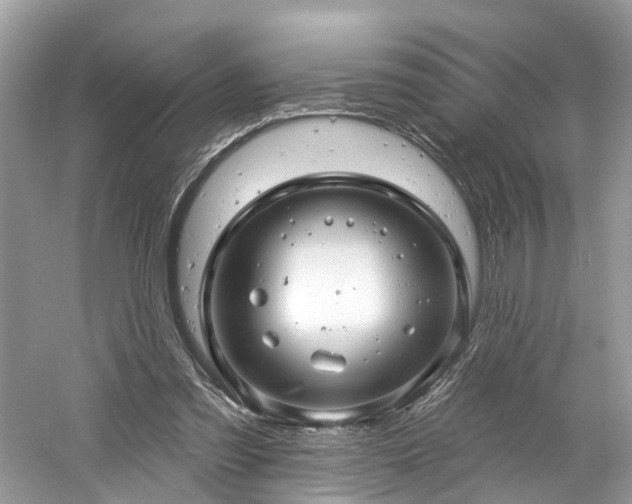 X0000061150301200511181241