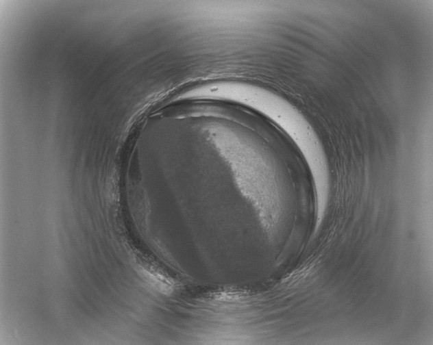 X0000061150303200511181241