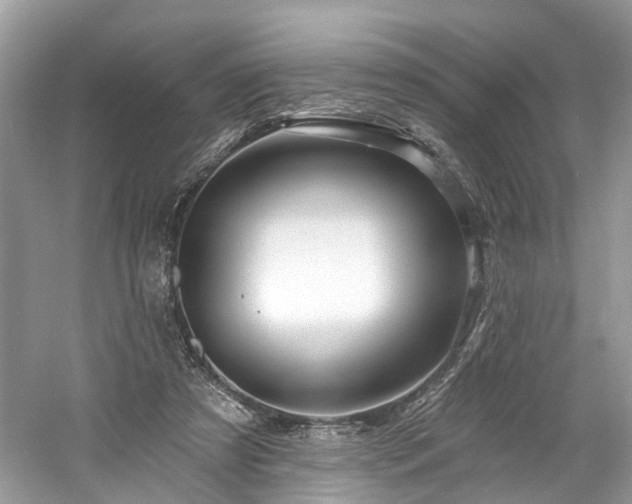 X0000061150305200511181241