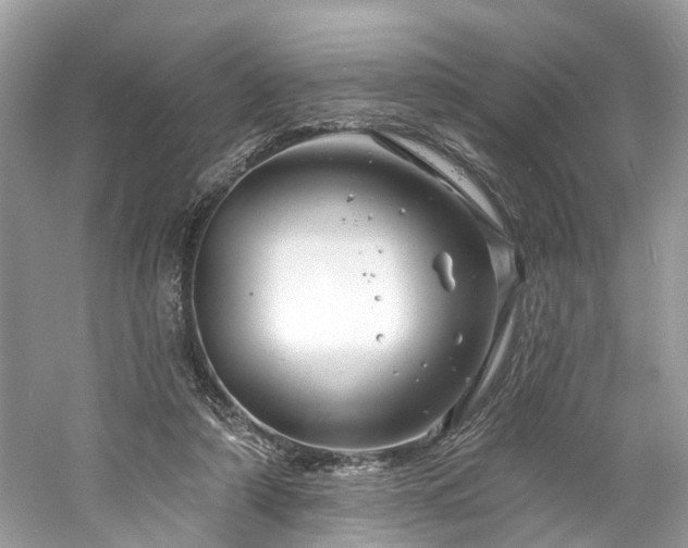 X0000061150306200511181241