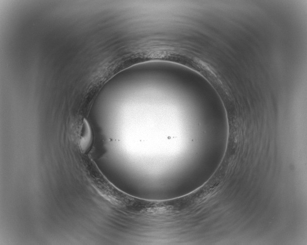 X0000061150307200511181241