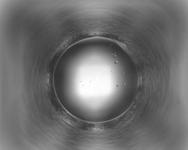 X0000061150308200511181241