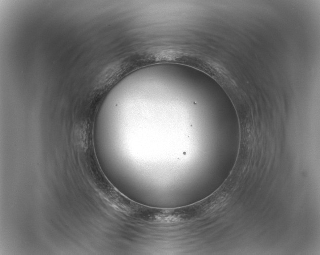 X0000061150311200511181241