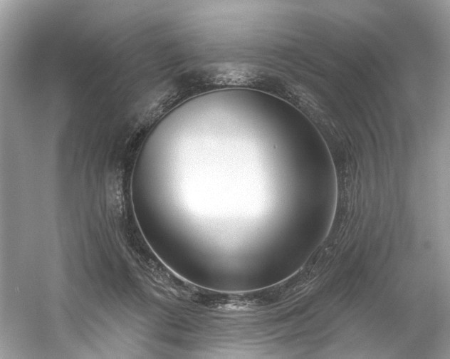 X0000061150312200511181241