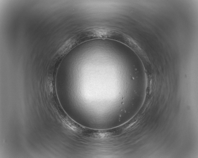 X0000061150313200511181241