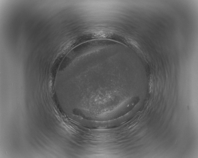 X0000061150314200511181241