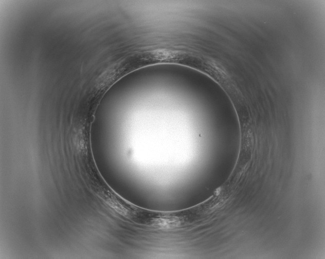 X0000061150317200511181241