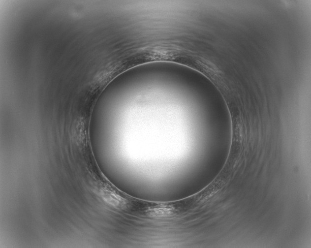 X0000061150318200511181241