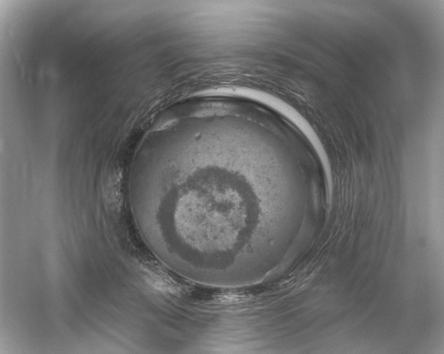 X0000061150319200511181241