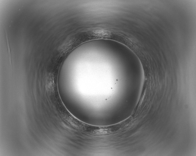 X0000061150320200511181241