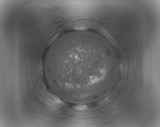 X0000061150322200511181241