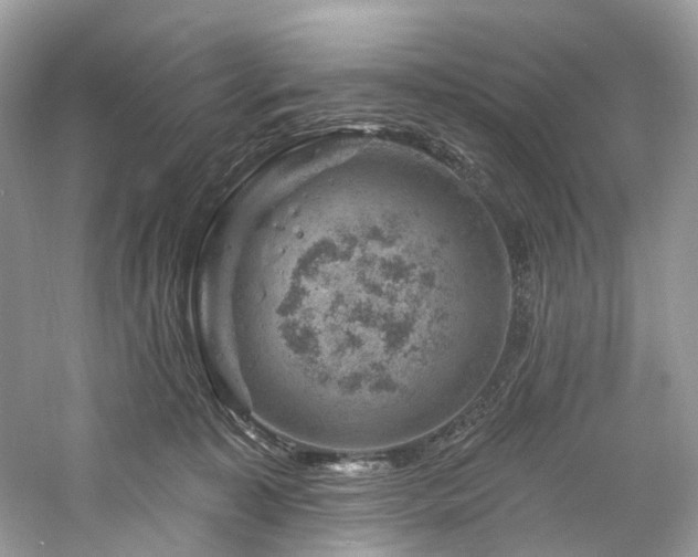 X0000061150323200511181241