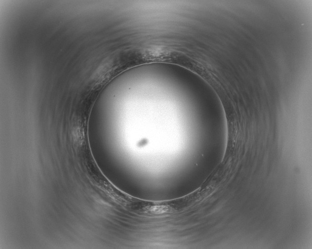 X0000061150324200511181241