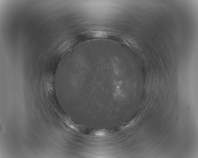 X0000061150325200511181241