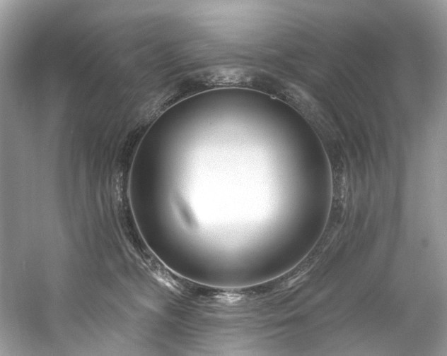 X0000061150326200511181241