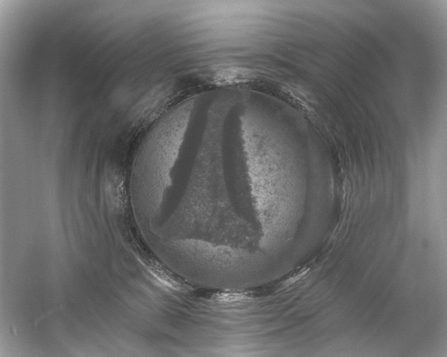 X0000061150327200511181241