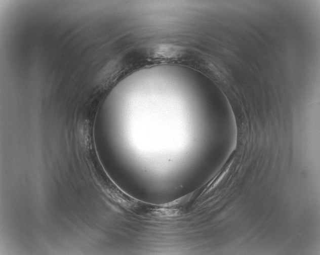 X0000061150328200511181241