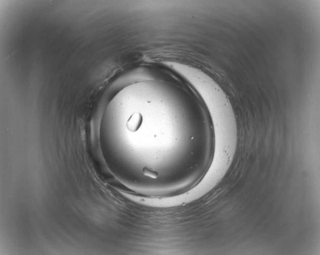 X0000061150329200511181241