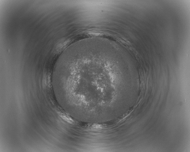 X0000061150330200511181241