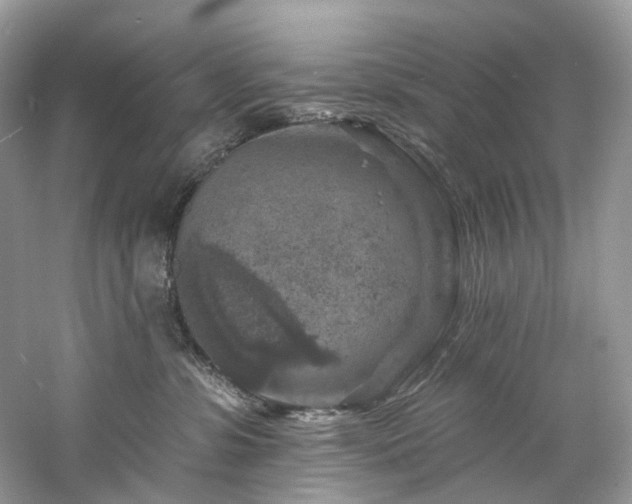 X0000061150331200511181241