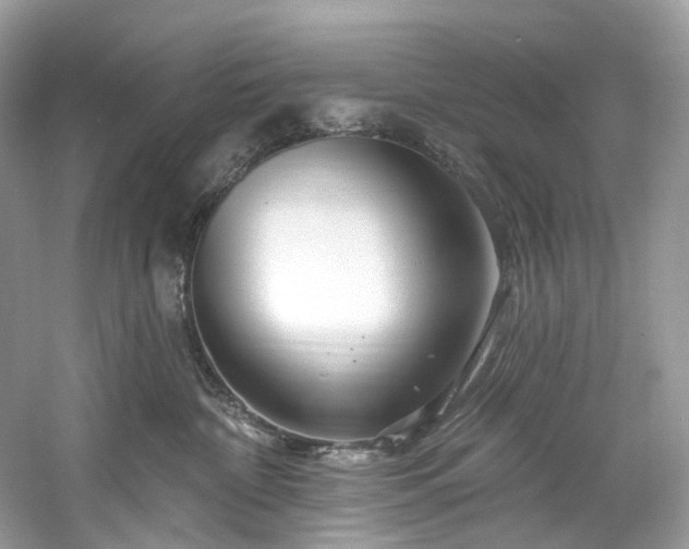 X0000061150332200511181241