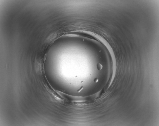 X0000061150333200511181241