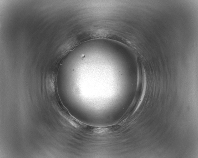 X0000061150334200511181241