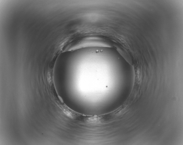 X0000061150335200511181241