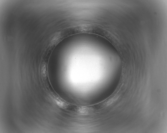 X0000061150336200511181241