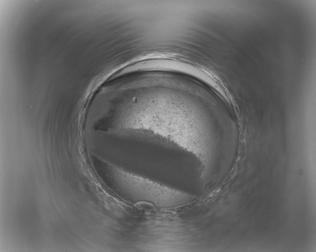 X0000061150337200511181240