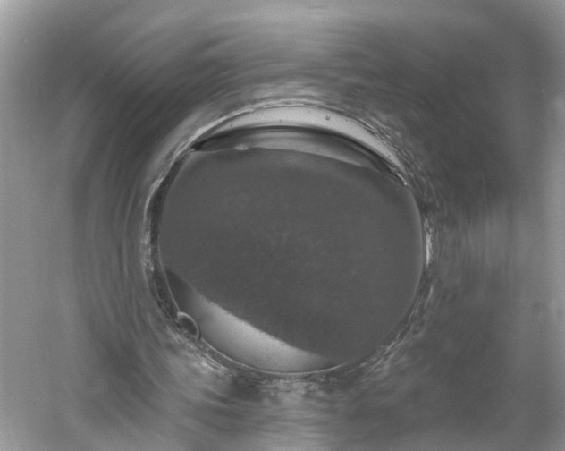 X0000061150339200511181240